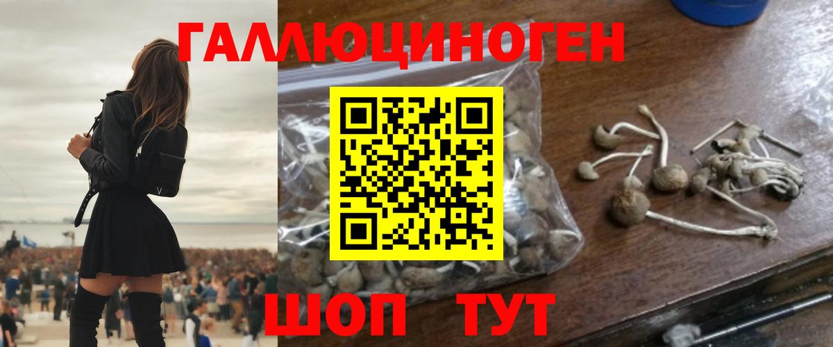 Галлюциногенные грибы GOLDEN TEACHER Ставрополь